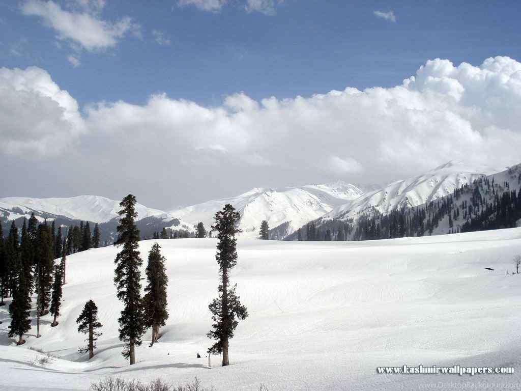 Kashmir: SAFFRON VALLEY OF MYSTIC SPLENDOUR [Dr Satish Ganjoo]